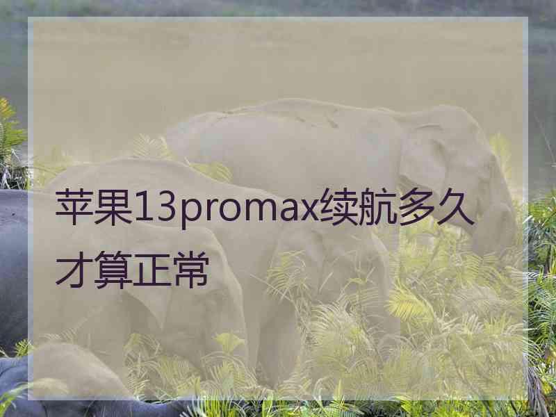 苹果13promax续航多久才算正常