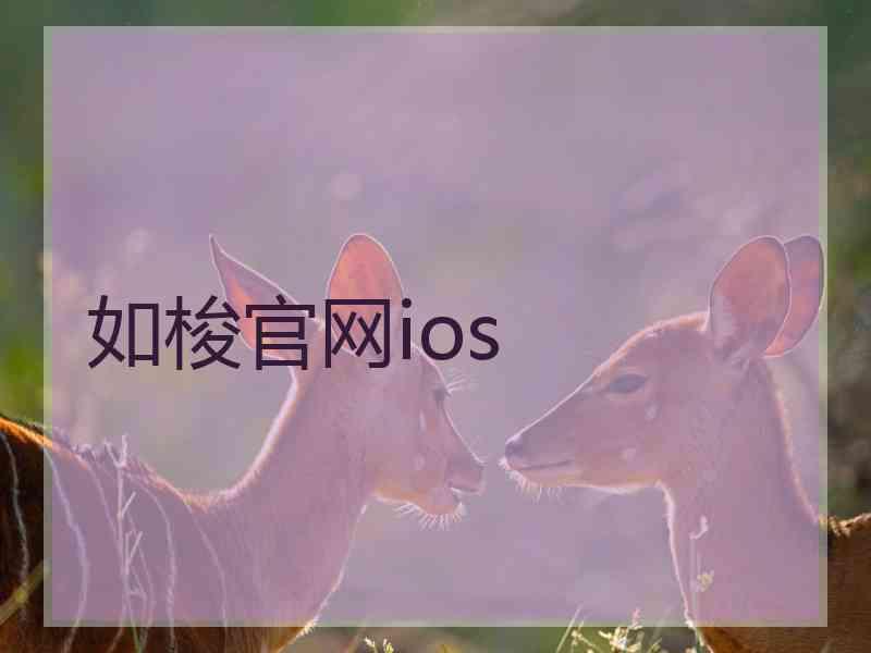 如梭官网ios