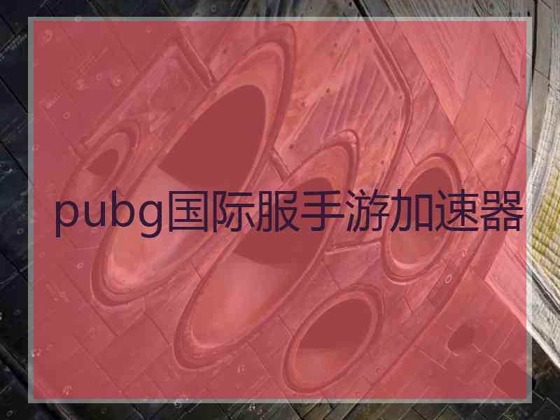 pubg国际服手游加速器