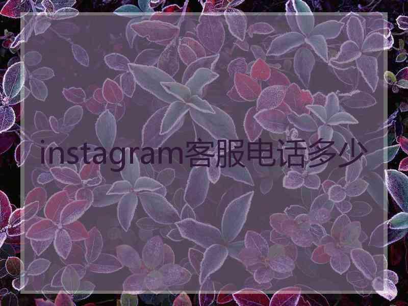 instagram客服电话多少