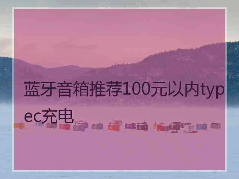 蓝牙音箱推荐100元以内typec充电