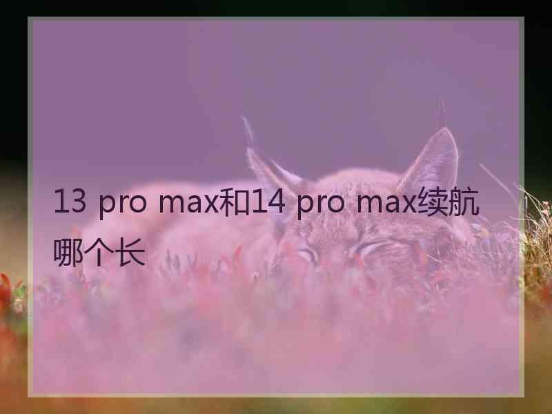 13 pro max和14 pro max续航哪个长