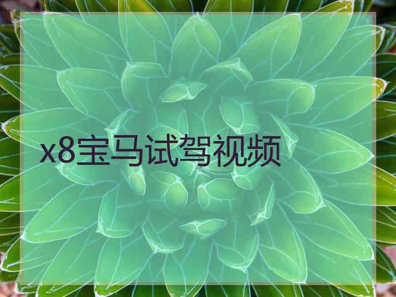 x8宝马试驾视频