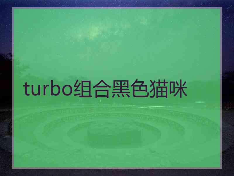 turbo组合黑色猫咪