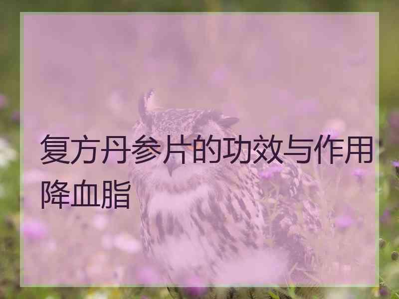 复方丹参片的功效与作用降血脂