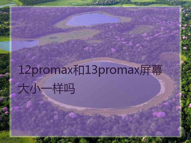 12promax和13promax屏幕大小一样吗