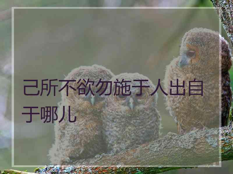 己所不欲勿施于人出自于哪儿