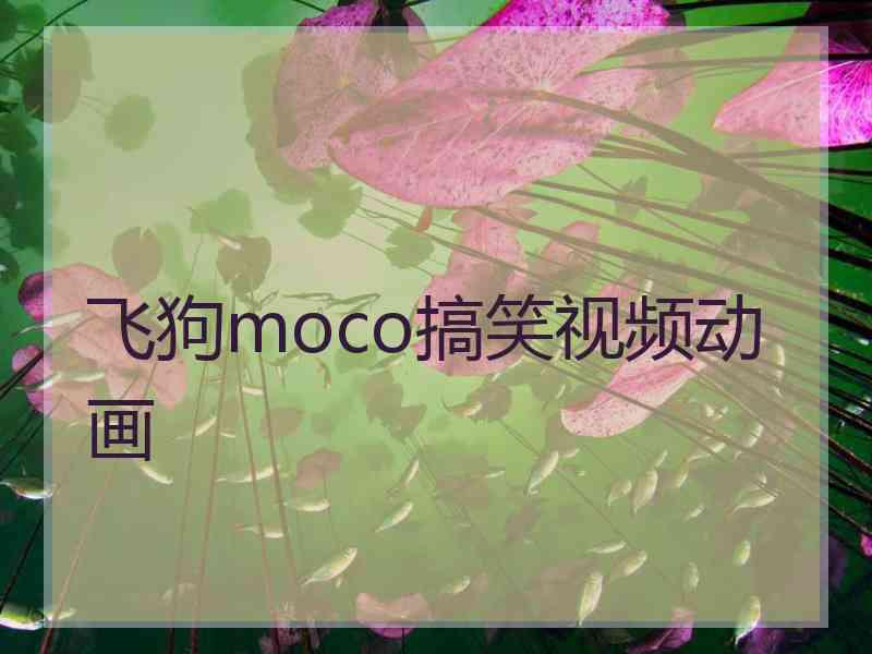 飞狗moco搞笑视频动画