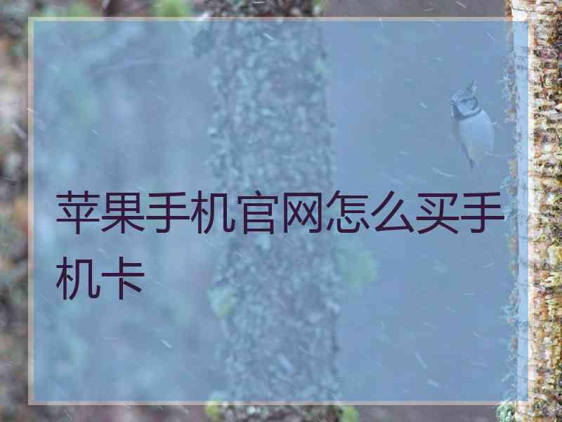 苹果手机官网怎么买手机卡