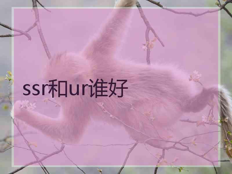 ssr和ur谁好