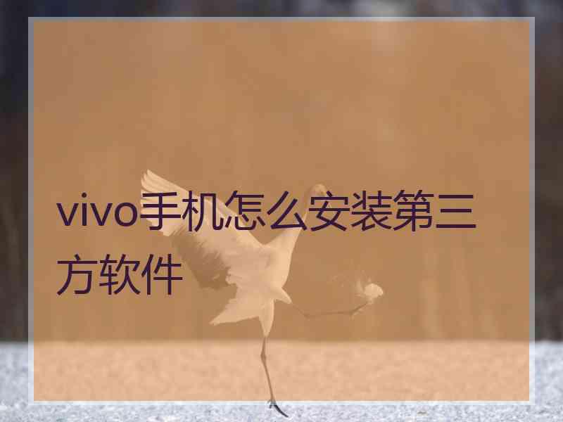 vivo手机怎么安装第三方软件