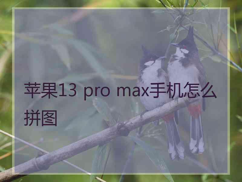 苹果13 pro max手机怎么拼图