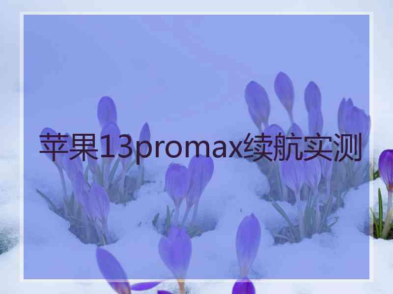 苹果13promax续航实测