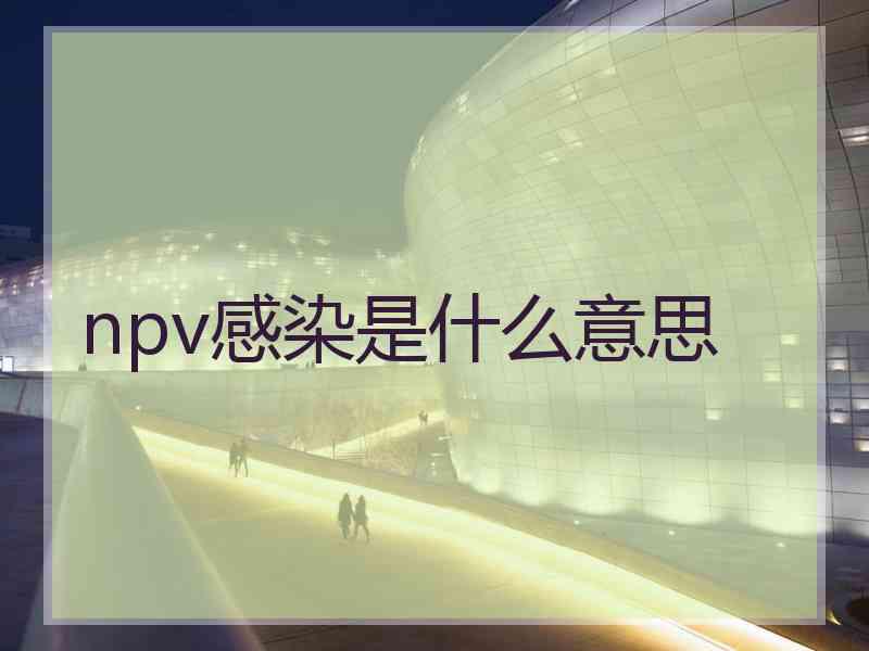 npv感染是什么意思