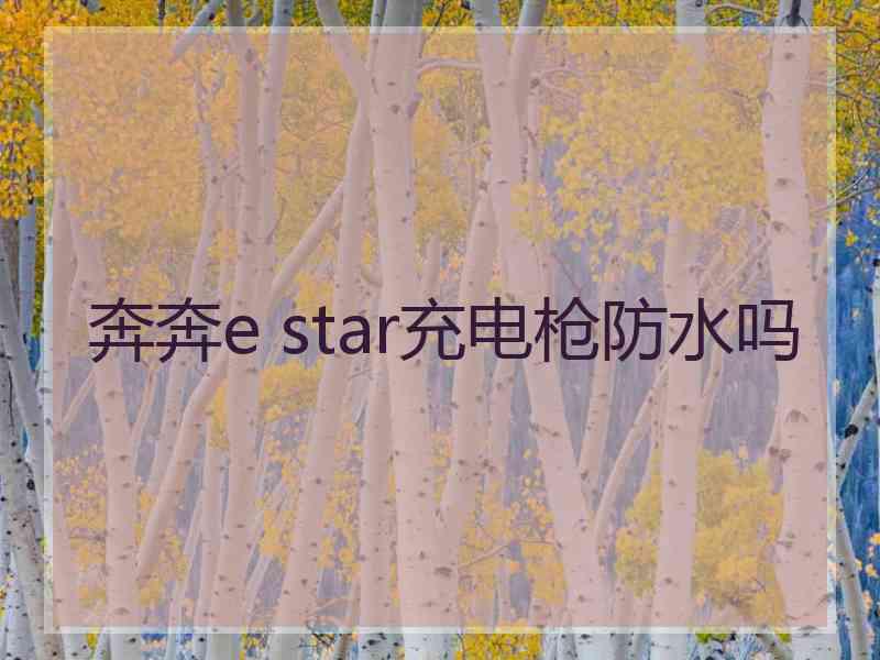 奔奔e star充电枪防水吗