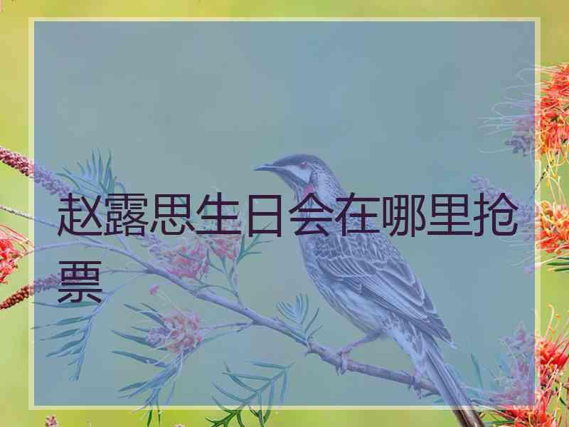 赵露思生日会在哪里抢票