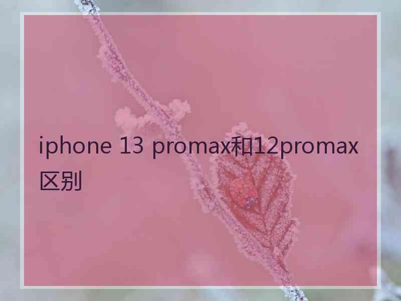 iphone 13 promax和12promax区别