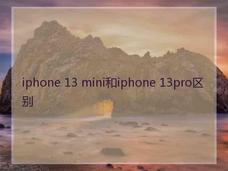 iphone 13 mini和iphone 13pro区别