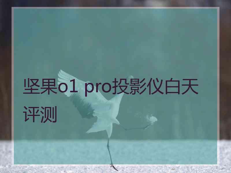 坚果o1 pro投影仪白天评测