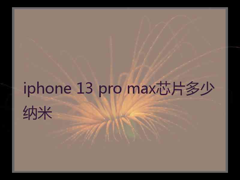 iphone 13 pro max芯片多少纳米