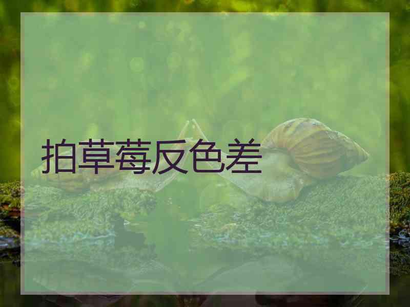 拍草莓反色差