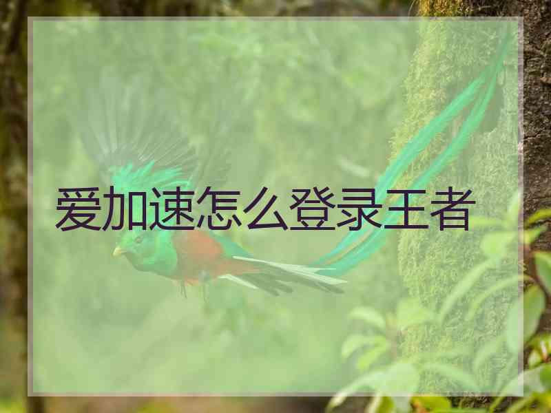 爱加速怎么登录王者