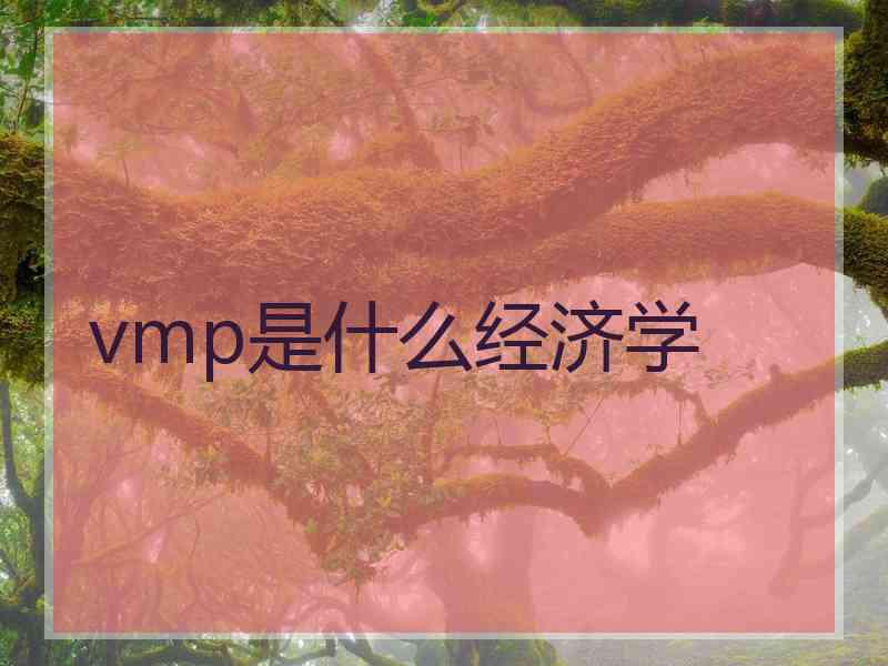 vmp是什么经济学