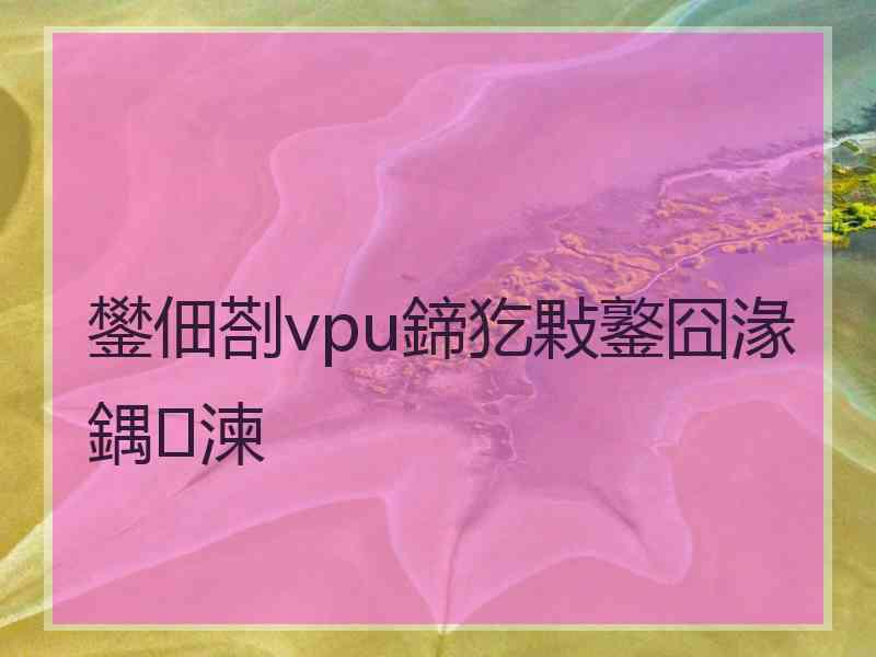 鐢佃剳vpu鍗犵敤鐜囧湪鍝湅