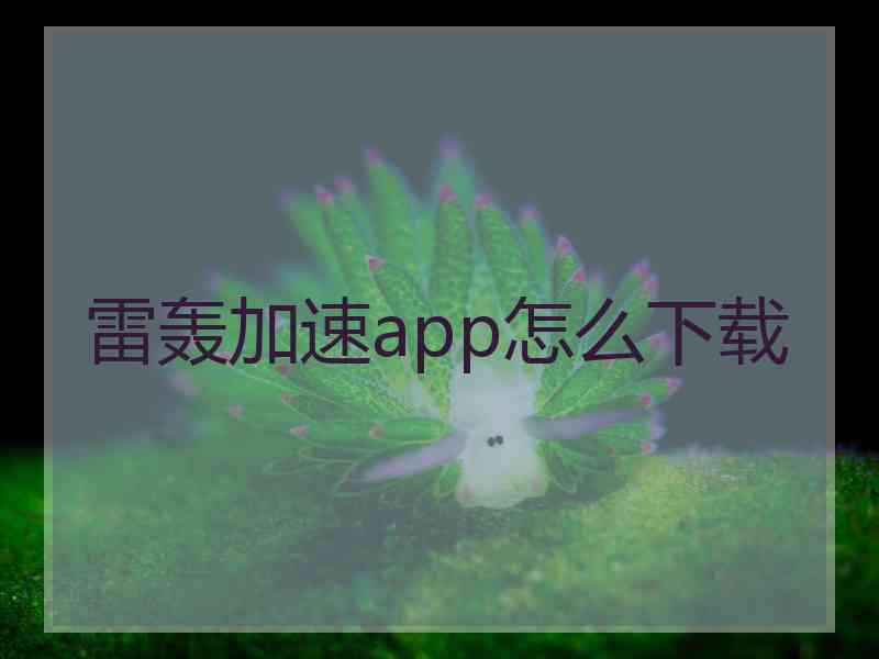 雷轰加速app怎么下载