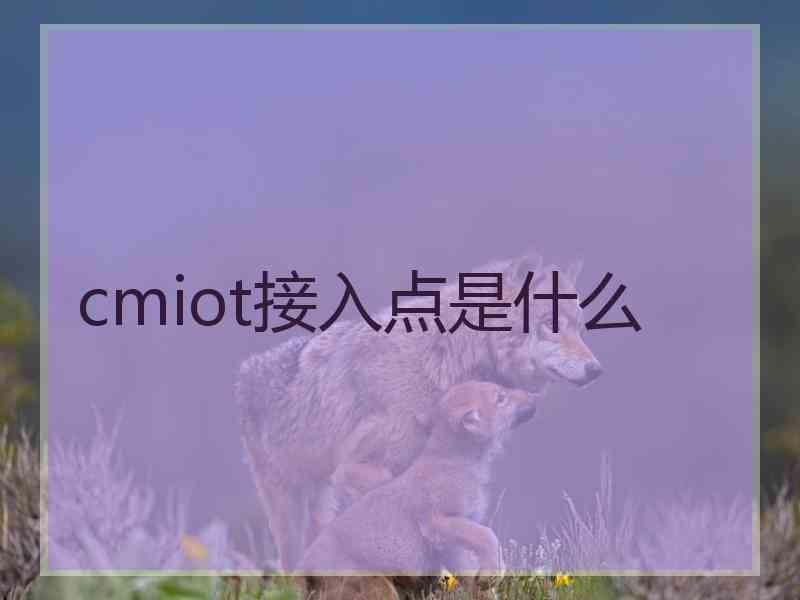 cmiot接入点是什么