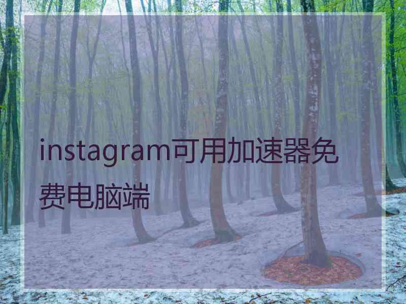 instagram可用加速器免费电脑端