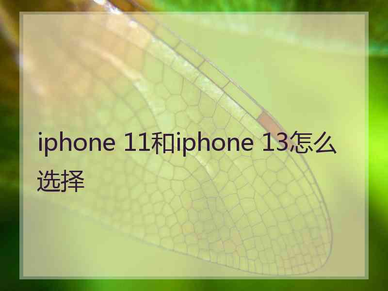 iphone 11和iphone 13怎么选择