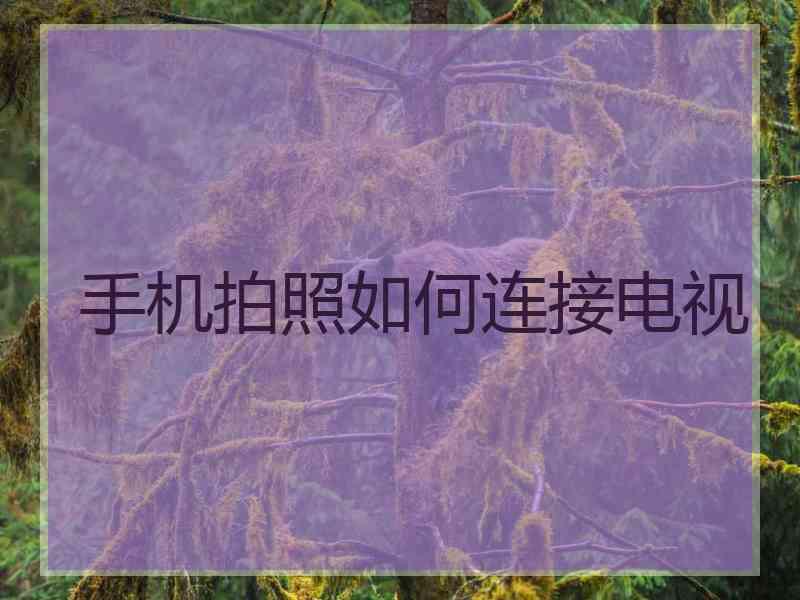 手机拍照如何连接电视