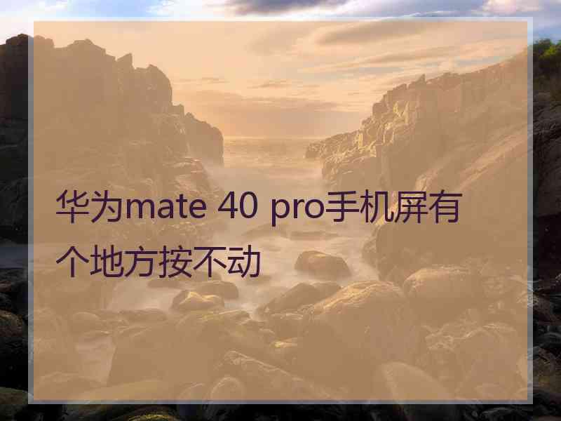 华为mate 40 pro手机屏有个地方按不动