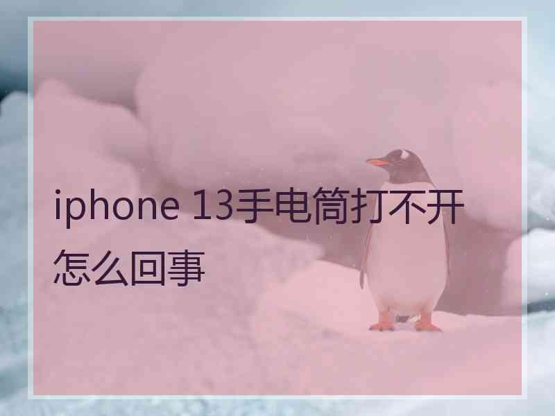 iphone 13手电筒打不开怎么回事