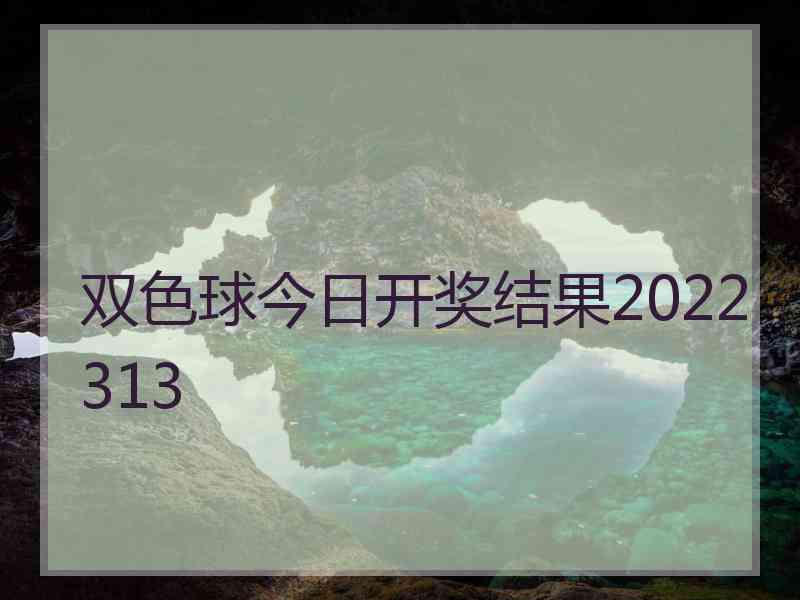 双色球今日开奖结果2022313