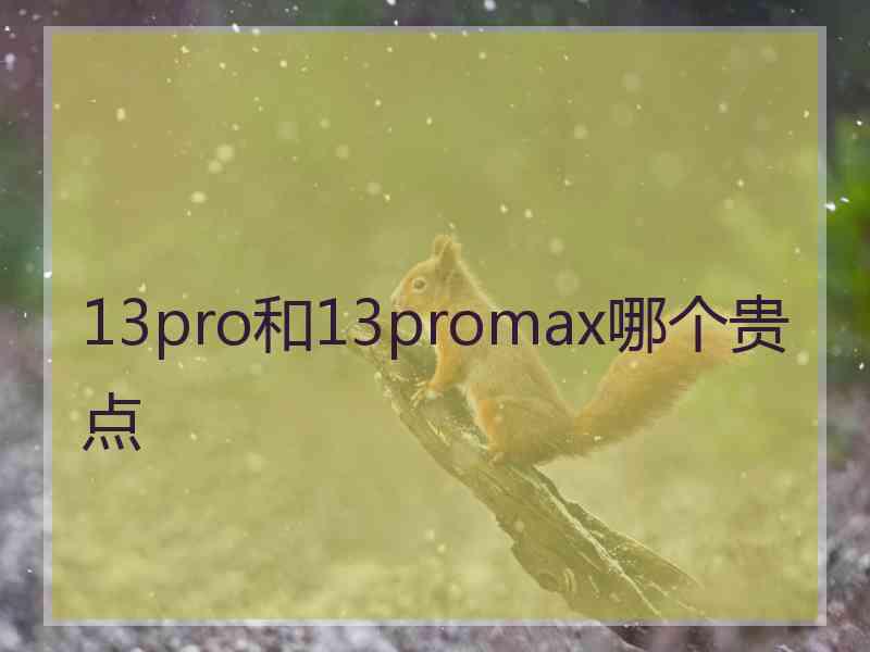 13pro和13promax哪个贵点