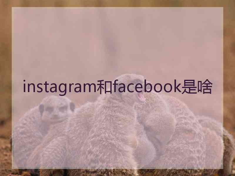 instagram和facebook是啥