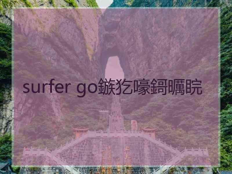 surfer go鏃犵嚎鎶曞睆