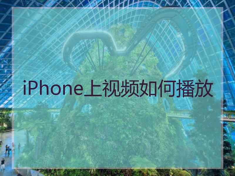 iPhone上视频如何播放