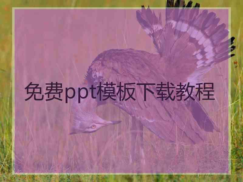 免费ppt模板下载教程