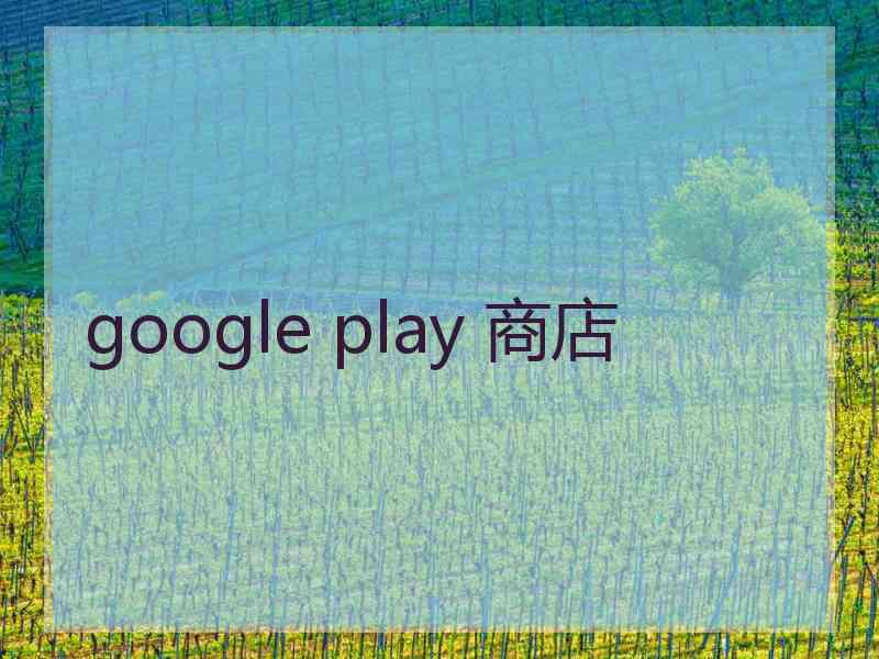 google play 商店