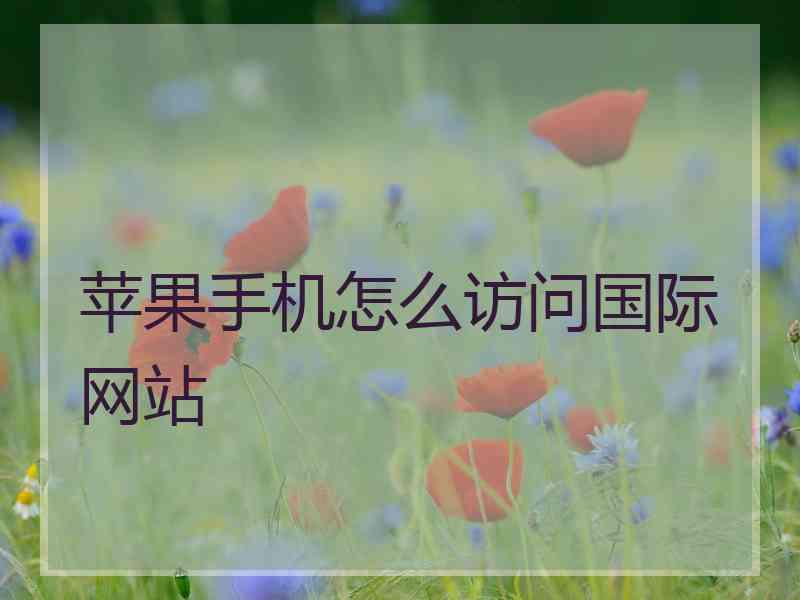 苹果手机怎么访问国际网站