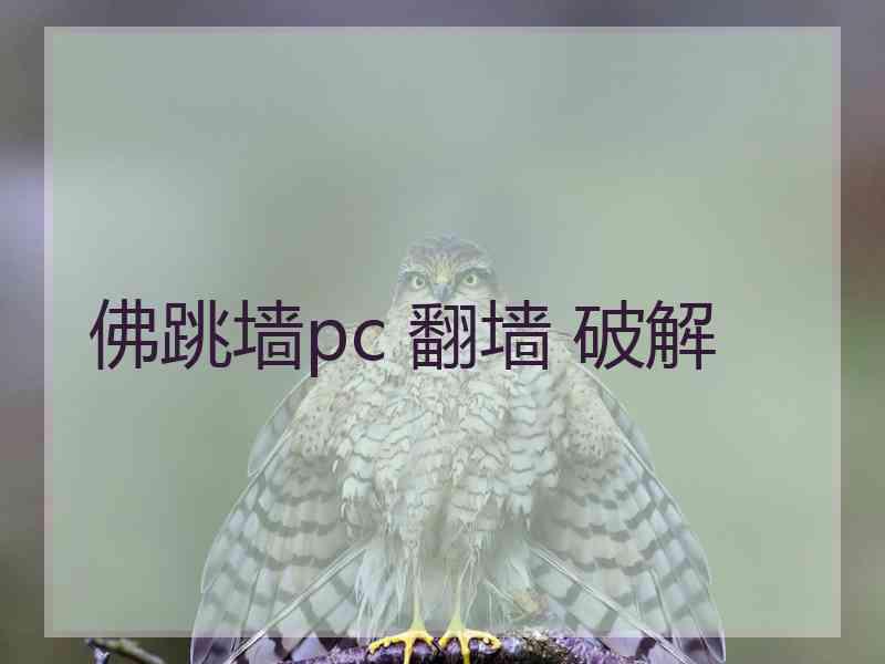 佛跳墙pc 翻墙 破解