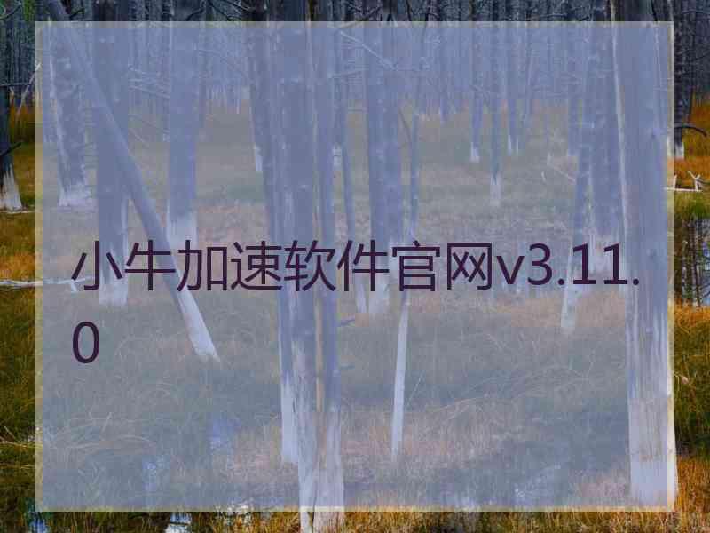 小牛加速软件官网v3.11.0