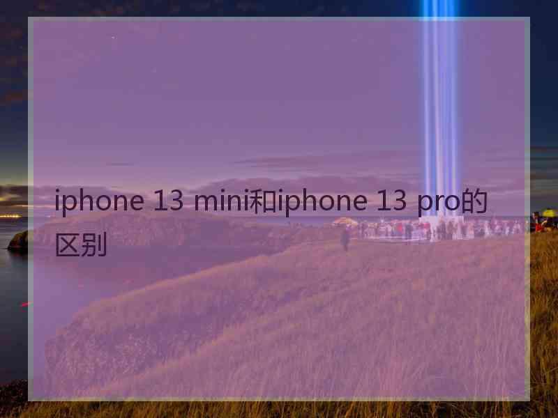 iphone 13 mini和iphone 13 pro的区别