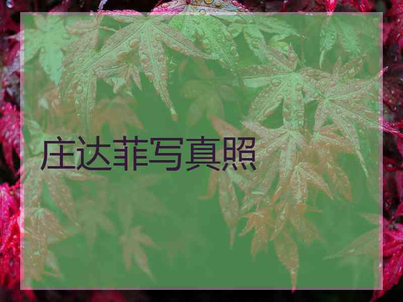 庄达菲写真照