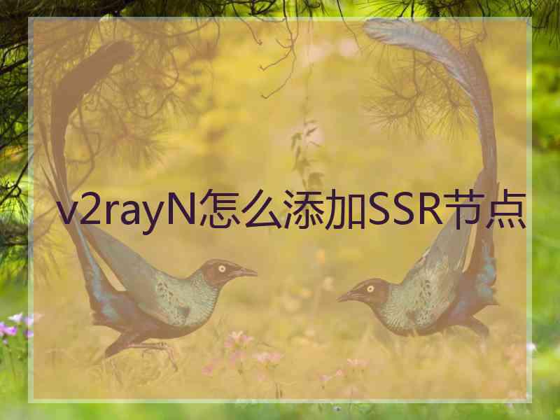 v2rayN怎么添加SSR节点