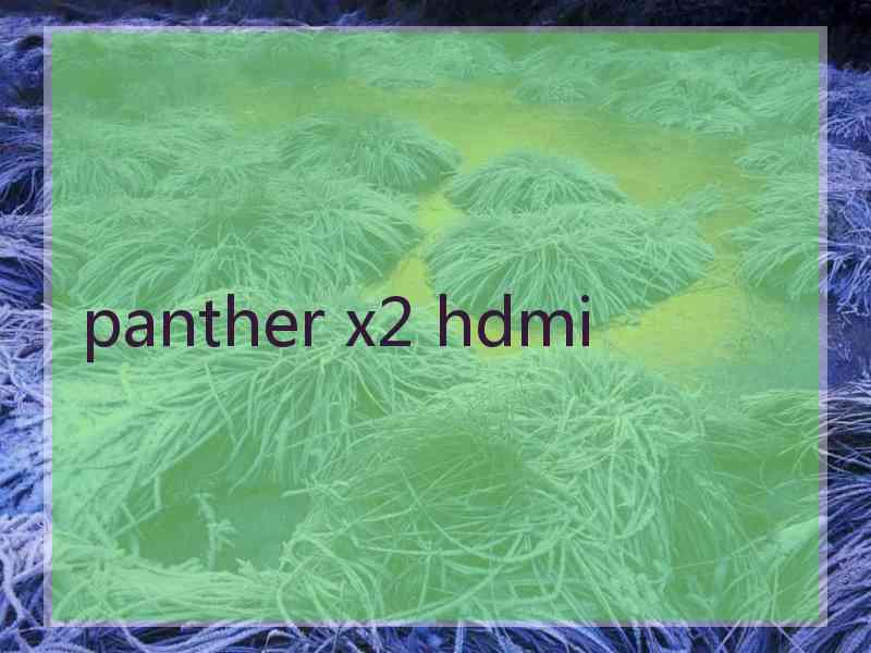 panther x2 hdmi