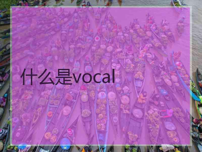 什么是vocal